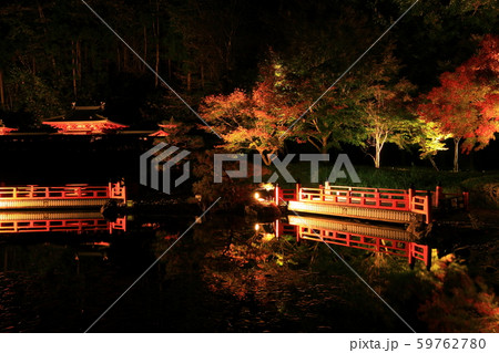 えさし藤原の郷　紅葉ライトアップ 59762780