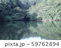 ちょっとした池 59762894