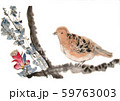 ハトとざくろの花 59763003