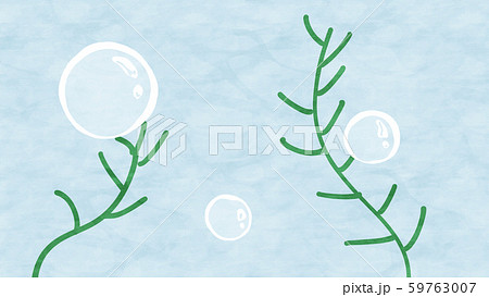 シンプルな水草と泡と水色の水中背景イメージ素材 シンプルな水草と泡と水色の水中背景イメージ素材 59763007