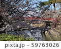 桜 59763026