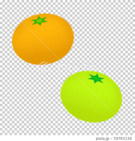 Ripe and unripe tangerines 59763138