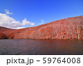 紅葉の蔦沼 59764008