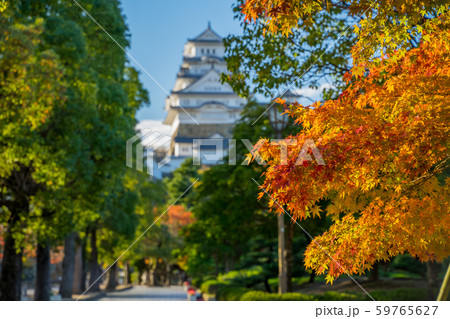 紅葉と姫路城 59765627