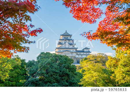 紅葉と姫路城 紅葉と姫路城 59765633