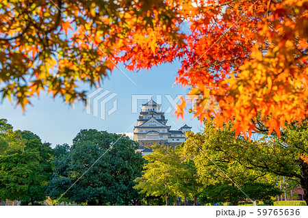 紅葉と姫路城 59765636