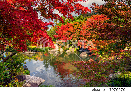 日本の美しい庭 姫路城西御屋敷跡庭園 好古園の紅葉 姫路公園 姫路城にある日本庭園 庭木 盆栽の写真素材