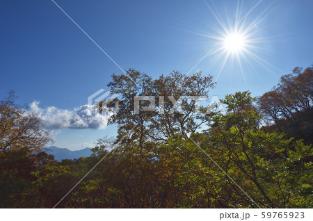 銀泉台の紅葉(北海道・上川町・大雪山系) 銀泉台の紅葉(北海道・上川町・大雪山系) 59765923