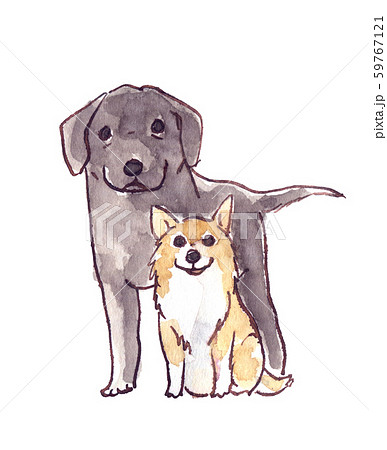 大型犬の子犬と小型犬の成犬のイラスト素材