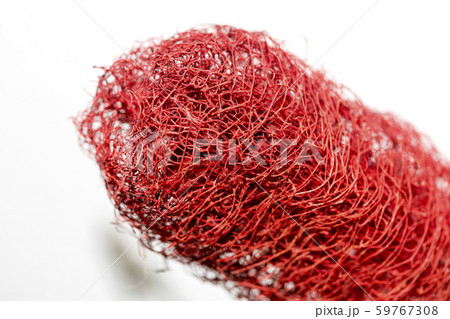 Red flower strange tropical blossom fruit macro background fifty megapixels Red flower strange tropical blossom fruit macro background fifty megapixels 59767308