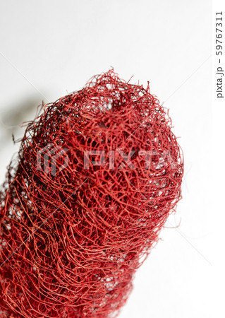 Red flower strange tropical blossom fruit macro background fifty megapixels Red flower strange tropical blossom fruit macro background fifty megapixels 59767311