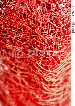 Red flower strange tropical blossom fruit macro background fifty megapixels Red flower strange tropical blossom fruit macro background fifty megapixels 59767313