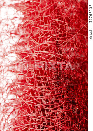 Red flower strange tropical blossom fruit macro background fifty megapixels Red flower strange tropical blossom fruit macro background fifty megapixels 59767337