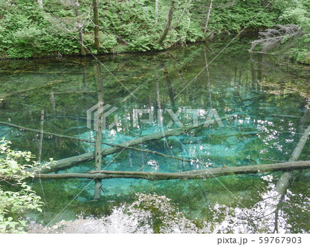 神の子池 59767903