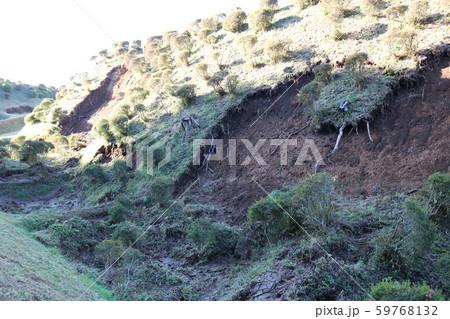 ■ 山中城 ■ 畝堀(土砂崩れ) ■北条氏康 ■ 小田原城の支城 ■ 静岡県 三島市 59768132