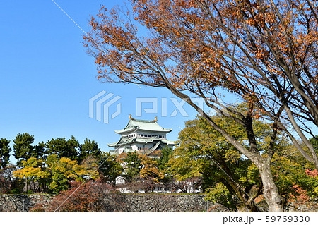 紅葉の名古屋城 紅葉の名古屋城 59769330