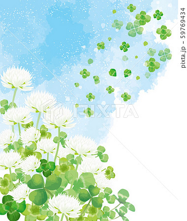 シロツメクサ シロツメクサ 春 春の花 草原 自然 花 4月 群生 晴天 青空 満開のイラスト素材