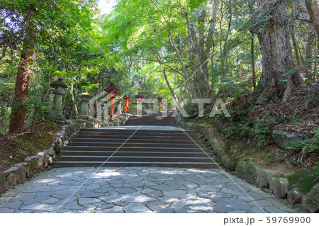 宇佐神宮　〒872-0102 大分県宇佐市大字南宇佐2859 59769900