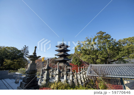 紅葉の八事興正寺 59770646