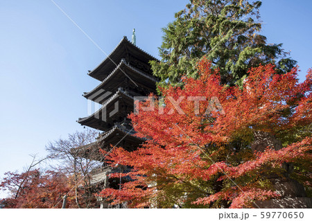 紅葉の八事興正寺 紅葉の八事興正寺 59770650