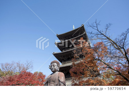 紅葉の八事興正寺 59770654