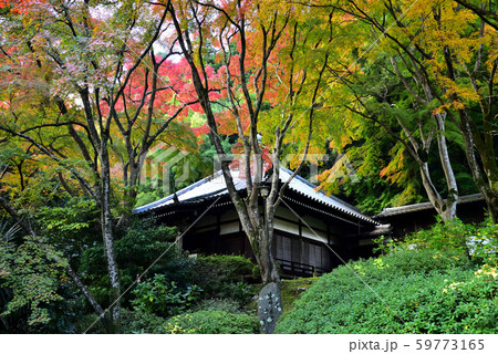 池田市　久安寺　本殿と紅葉 59773165