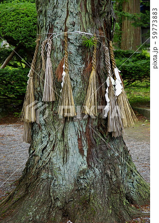 遠野　かっぱ伝説がある常堅寺　 59773883