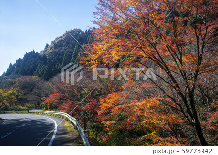神角寺渓谷 紅葉 神角寺渓谷 紅葉 59773942