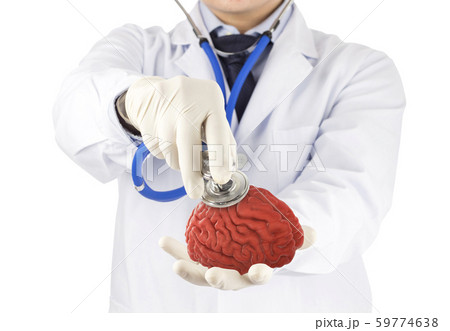 doctor use stethoscope check 3D brain , concept brain disease doctor use stethoscope check 3D brain , concept brain disease 59774638