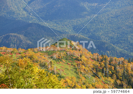 銀泉台の紅葉（北海道・上川町・大雪山系） 59774664