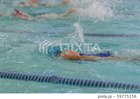 In the pool In the pool 59775256