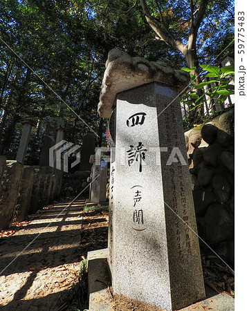 東京都・高尾山薬王院 四諦 / Yakuoin, Mt. Takao, Tokyo 59775483