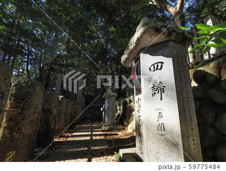 東京都・高尾山薬王院 四諦 / Yakuoin, Mt. Takao, Tokyo 59775484