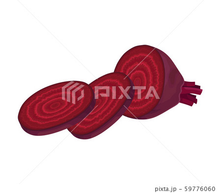 Beet-Root Without Beet Tops Cut into Sections Vector Illustration 59776060