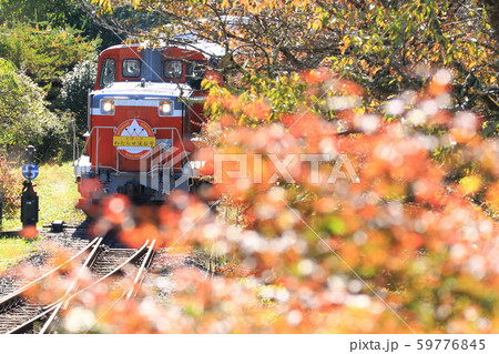 トロッコわたらせ渓谷号「煌めく紅葉の葉に包まれて」 59776845