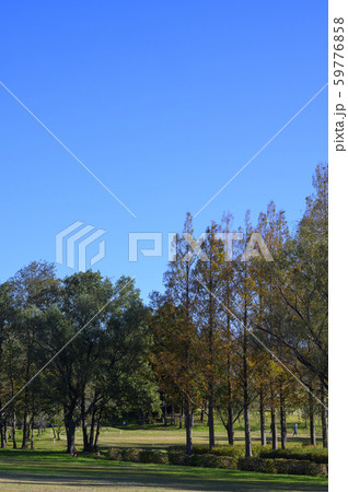 木場潟西園地/グランドゴルフ/11月撮影/石川県小松市 木場潟西園地/グランドゴルフ/11月撮影/石川県小松市 59776858