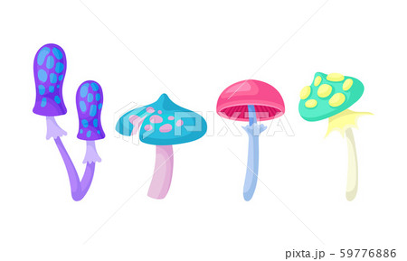Magic Mushrooms Vector Set. Fairy Colorful Fungi Collection. 59776886