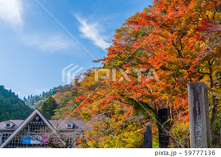 高尾山 秋 清滝駅前 高尾山 秋 清滝駅前 59777136