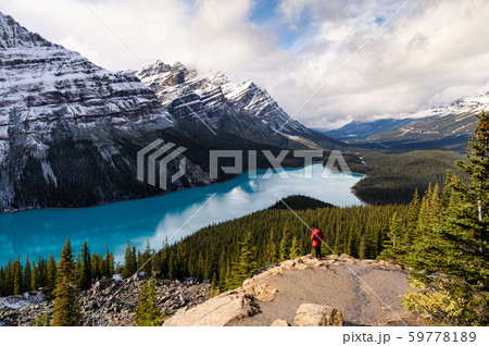Scenery of Peyto lake resemble of fox in Banff 59778189