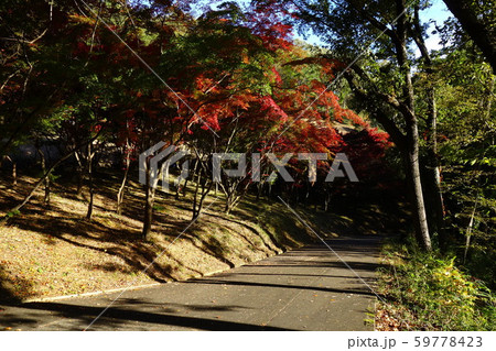 織姫公園もみじ谷 織姫公園もみじ谷 59778423