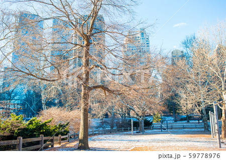 Beautiful Central Park in New York City 59778976