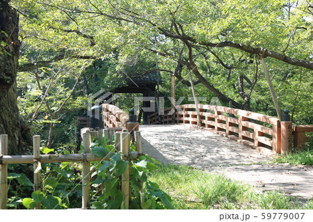 ■ 高遠城 ■ 問屋門と桜雲橋 ■ 高遠城址公園 ■ 武田勝頼、仁科盛信 ■ 長野県 ■ 高遠城 ■ 問屋門と桜雲橋 ■ 高遠城址公園 ■ 武田勝頼、仁科盛信 ■ 長野県 59779007