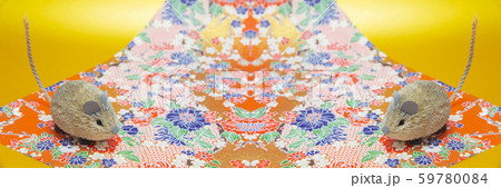 和紙文様 正月 干支 ねずみ 和紙文様 正月 干支 ねずみ 59780084