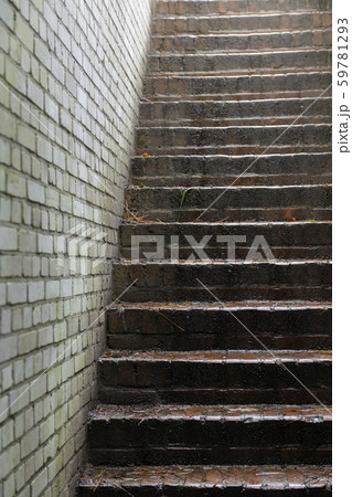 Stone stairs in an old German bunker . 59781293