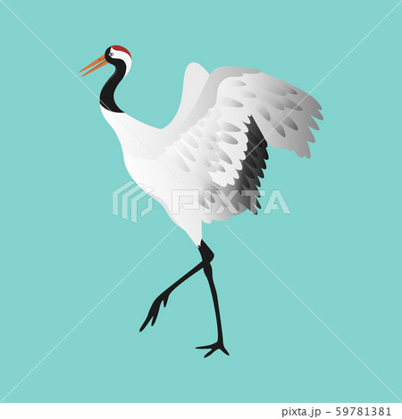 Japanese dancing red-crowned crane in different poses isolated 59781381