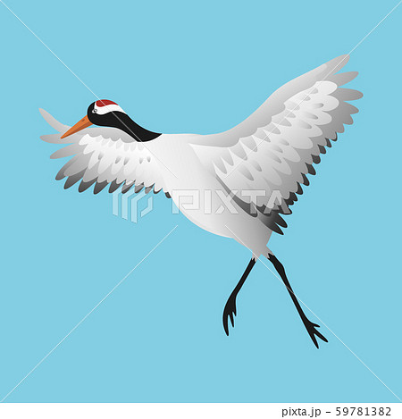 Japanese dancing red-crowned crane in different poses isolated 59781382
