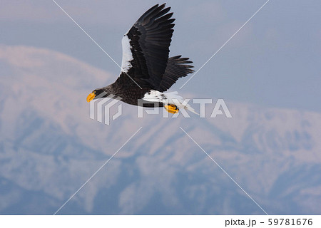 知床　冬 59781676