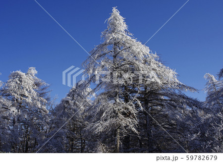 山 雪景色 氷 59782679