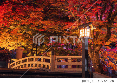 土津神社の紅葉ライトアップ 土津神社の紅葉ライトアップ 59784170