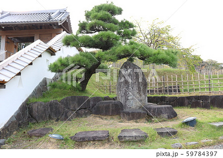 ■ 掛川城公園 ■ 石碑 ■ 山内一豊 ■ 静岡県 ■ 掛川城公園 ■ 石碑 ■ 山内一豊 ■ 静岡県 59784397